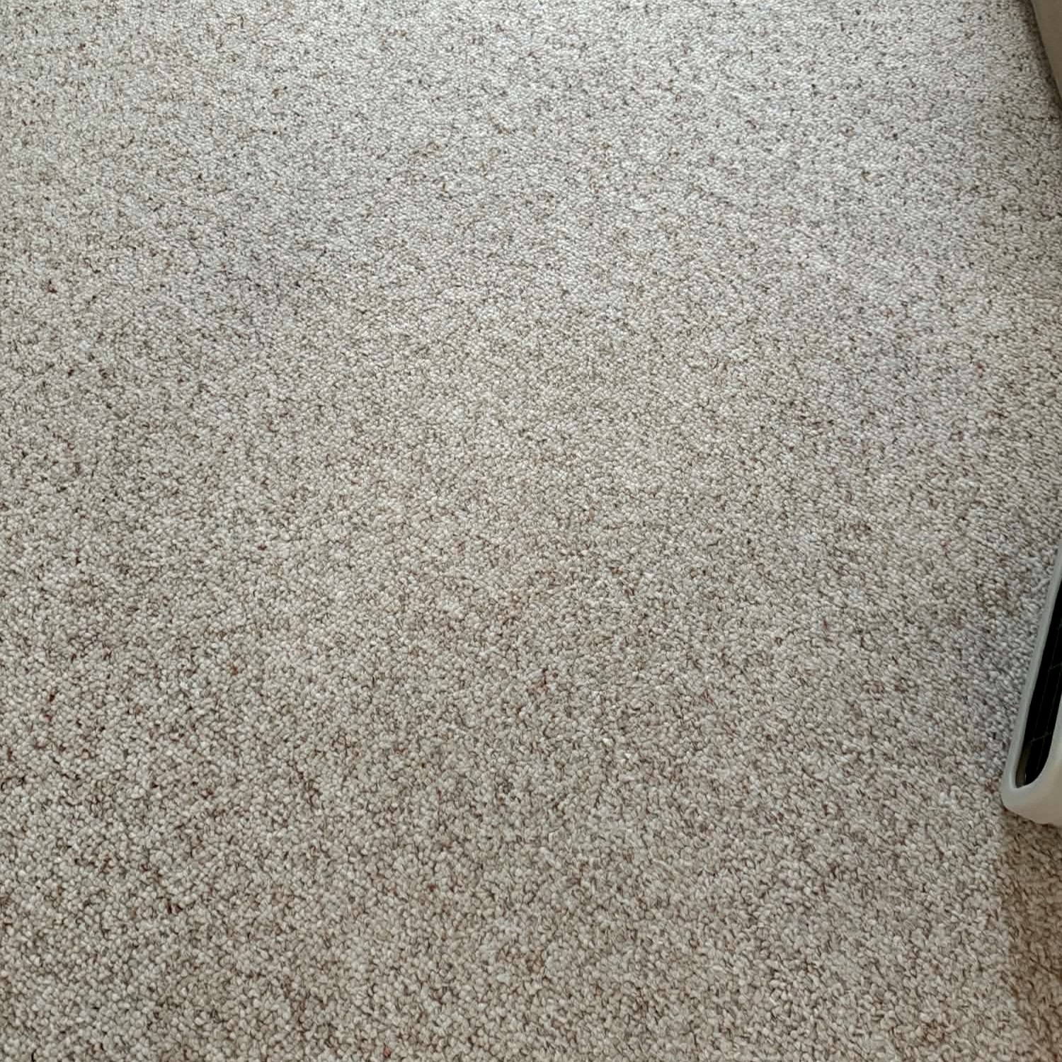 Actual carpet stain after professional cleaning by Coastal Carpet Steaming